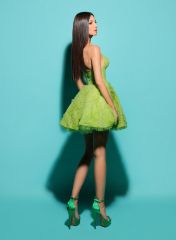 Picture of GREEN MILA DRESS